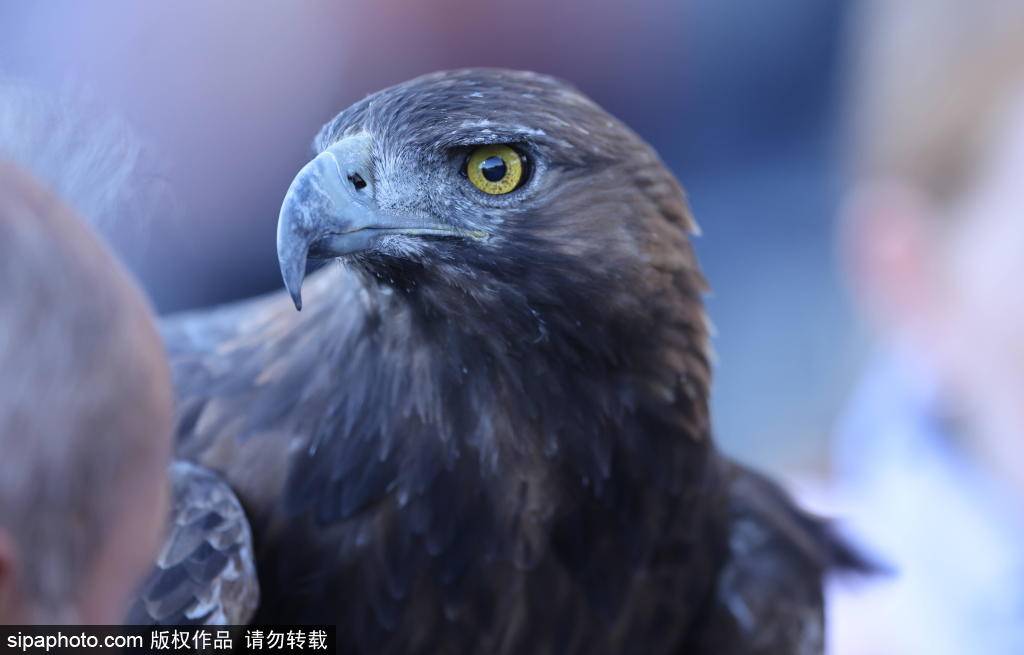 皇家马德里女足迎战法兰克福:晋级欧冠的关键时刻 皇家马德里女足迎战法兰克福:晋级欧冠的关键时刻